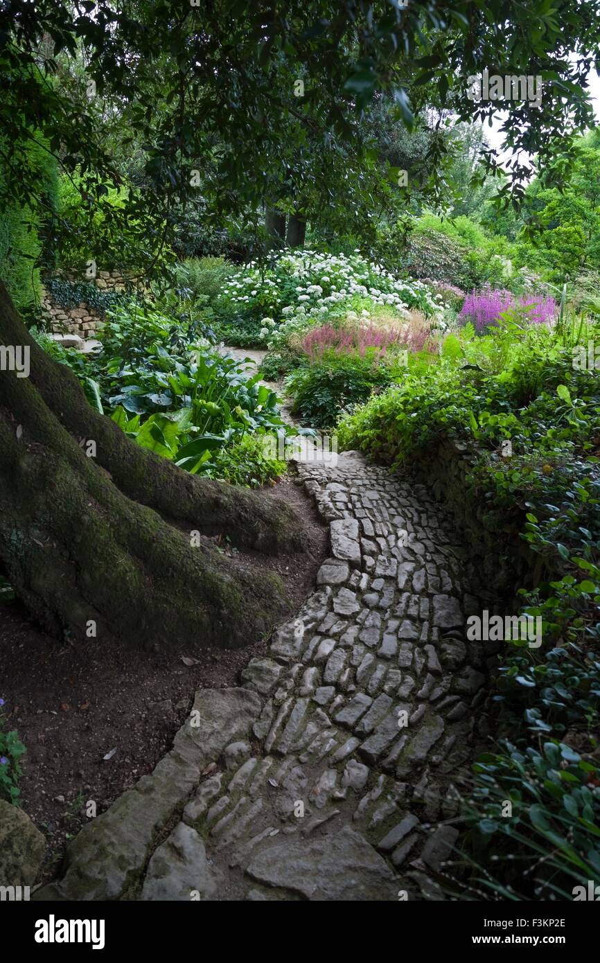 Percorso di pietra di avvolgimento intorno a un leccio albero, giardino inglese. Foto Stock