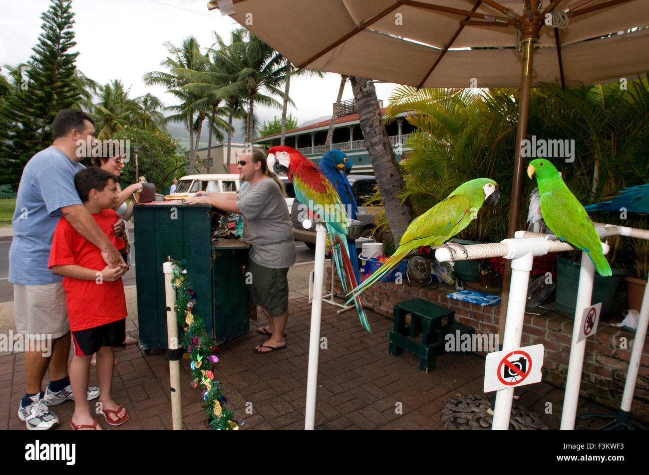 Pappagalli per scattare le foto con i turisti nei pressi del caratteristico e antico edificio giudiziario e penitenziario di Lahaina. Maui. Hawaii. Foto Stock