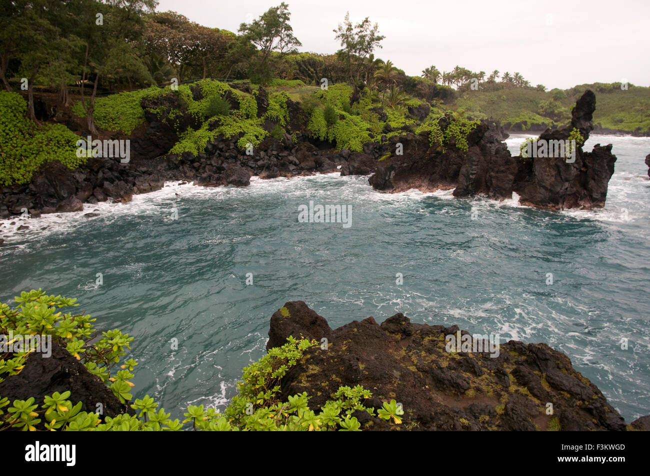 Wai'anapanapa State Park. Una verdeggiante località di mare con grotte e scogliere vulcaniche. Hana Highway. Maui. Hawaii. Questa è una grande fermata Foto Stock