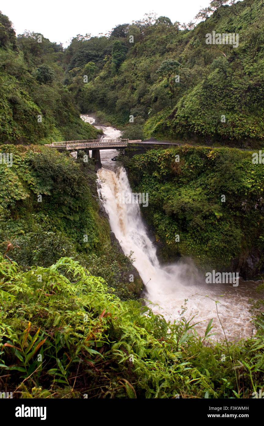 Cascate nel percorso della strada di Hana. Maui. Hawaii. Piscine Oheo Gulch Hana autostrada del Monte Haleakala Maui Hawaii Oceano Pacifico. T Foto Stock