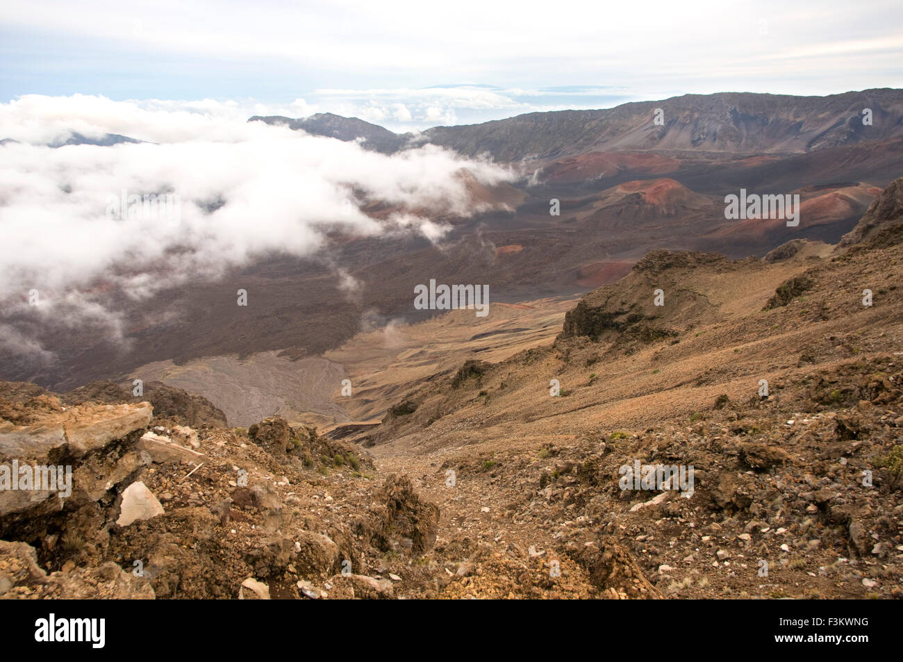 I coni di scorie nell'Haleakala National Park. Viste dal punto di vista della Leleiwi. Maui. Hawaii. L'Haleakala National Park rang Foto Stock