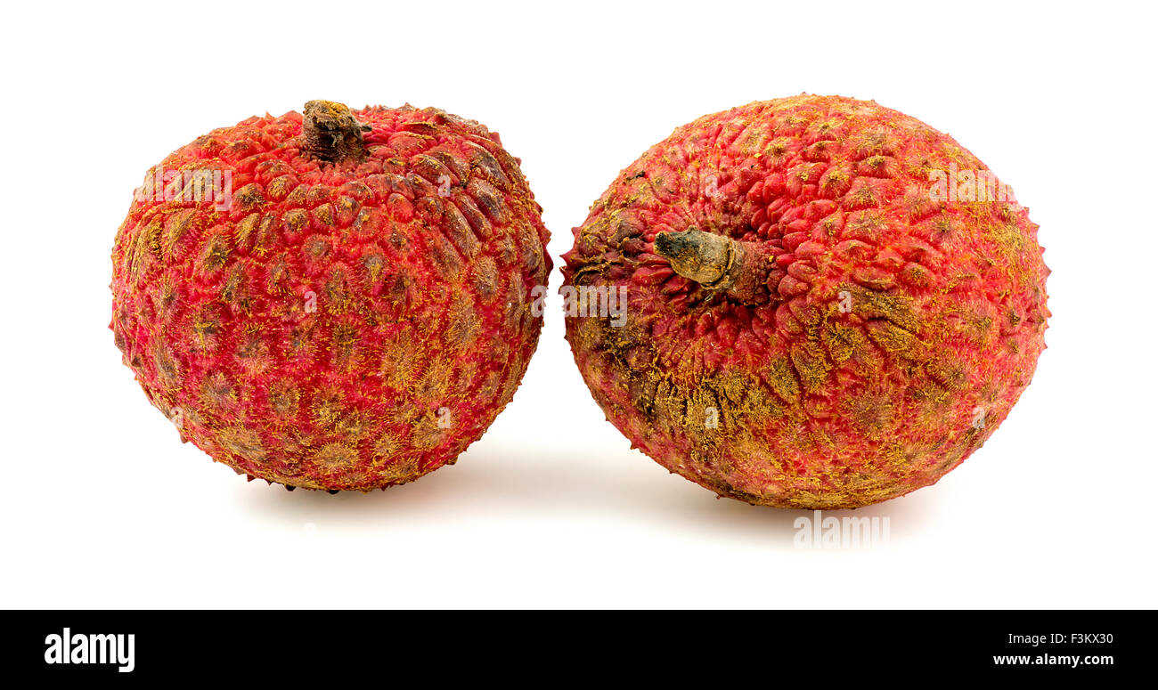 Due lychee frutti isolato su bianco Foto Stock