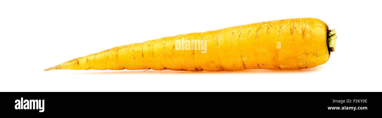 Giallo carota organico isolato su bianco Foto Stock