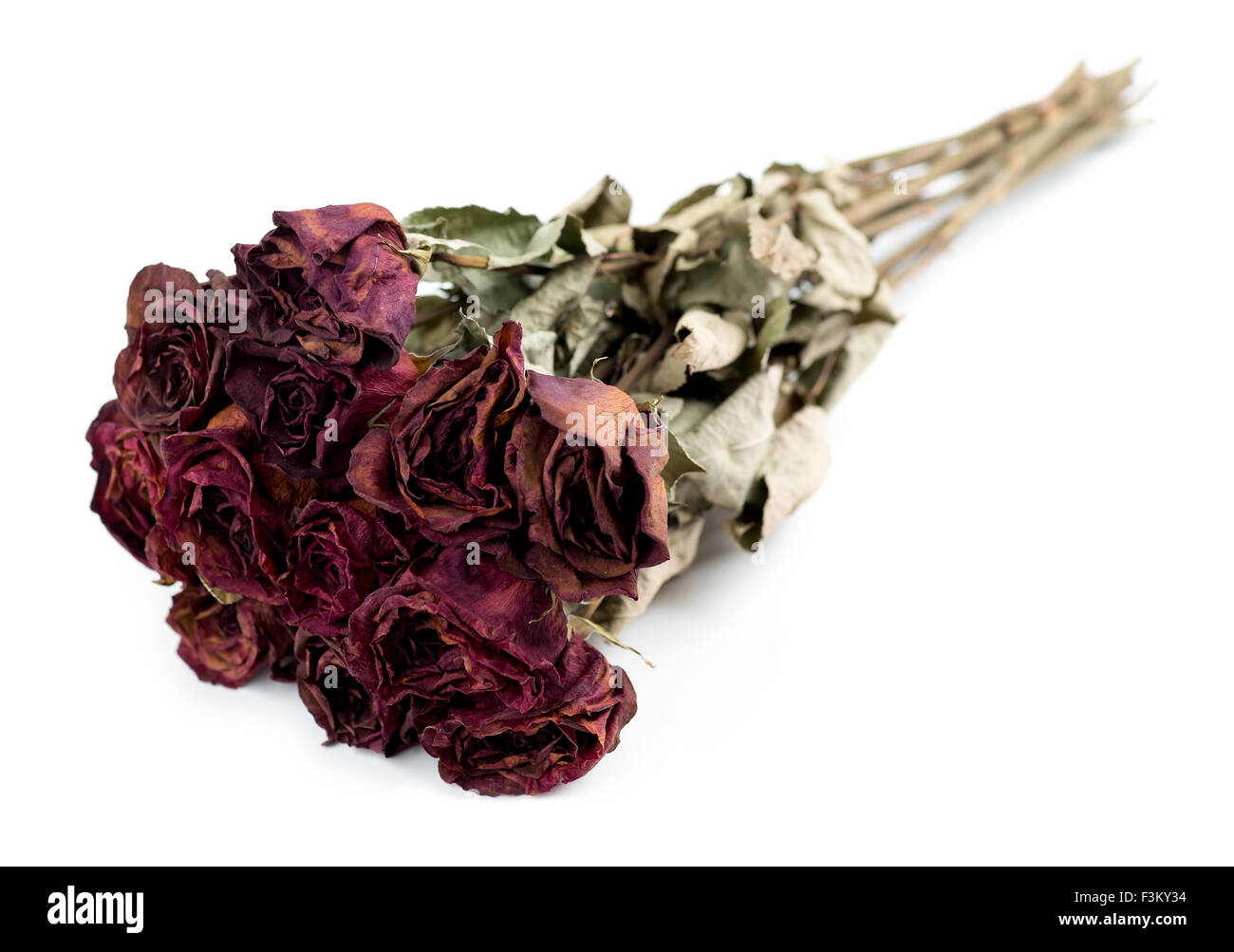Sbiadita morto bouquet di rose isolata contro uno sfondo bianco Foto Stock