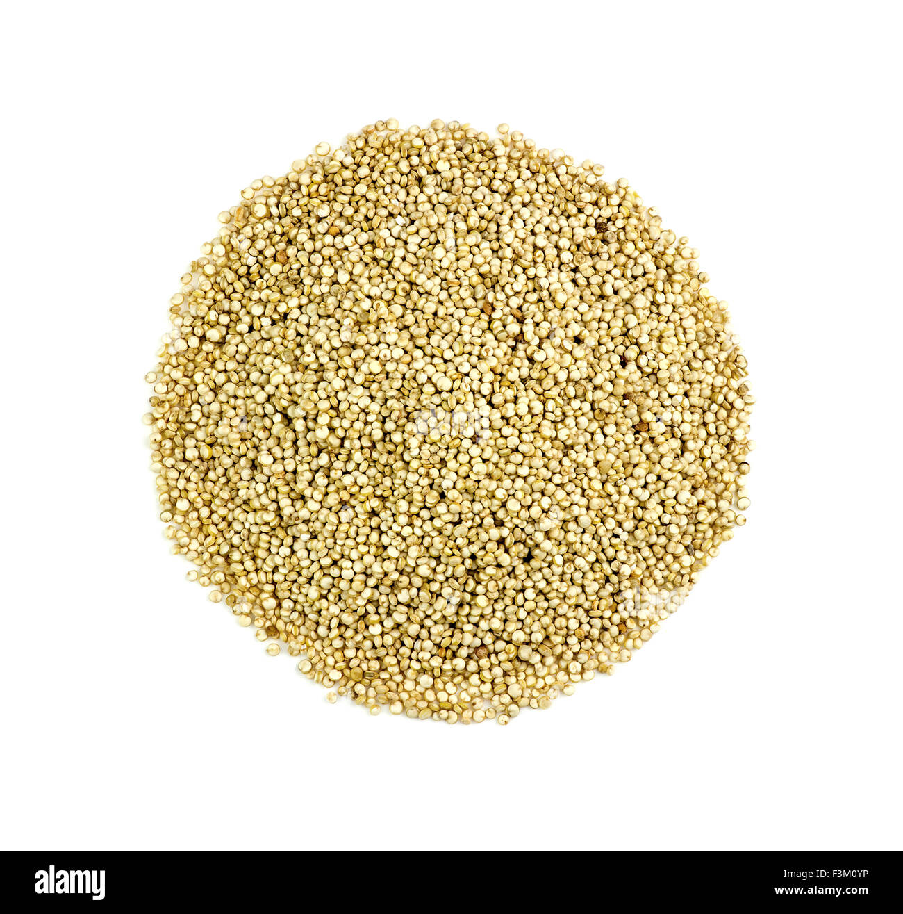 Closeup antenna di quinoa fresco isolato su bianco Foto Stock