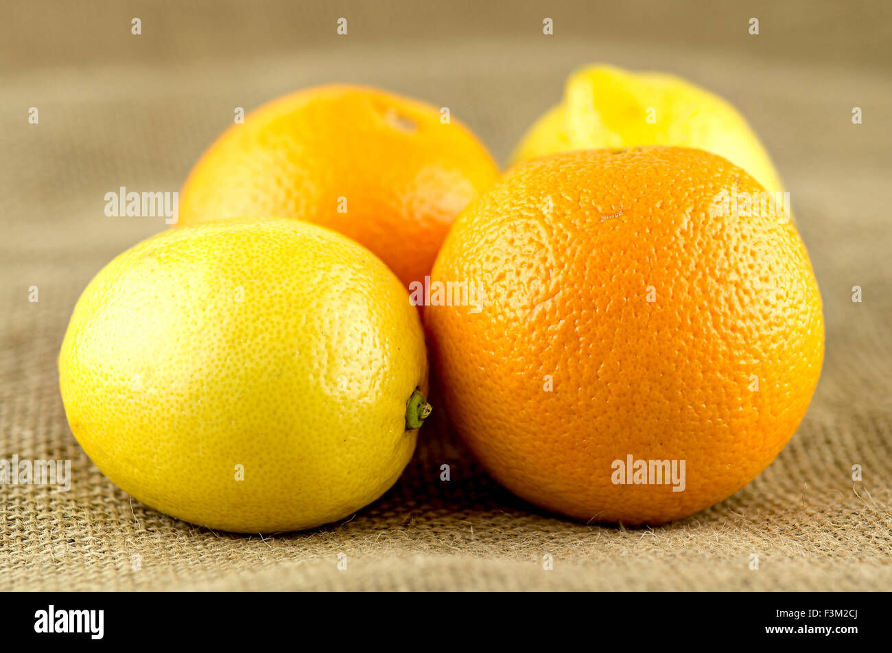 Gruppo di arance e di limoni Foto Stock