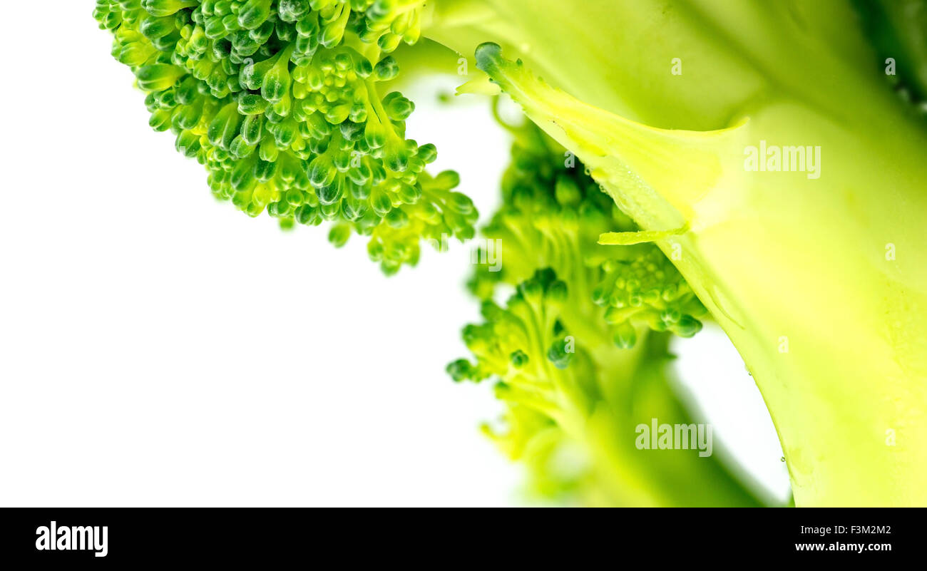 Extreme closeup di di broccoli a pezzi isolati contro uno sfondo bianco Foto Stock