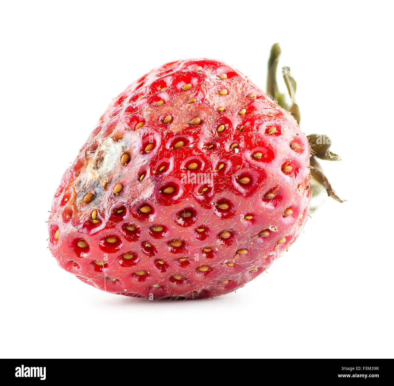 Il marcio fragola Foto Stock