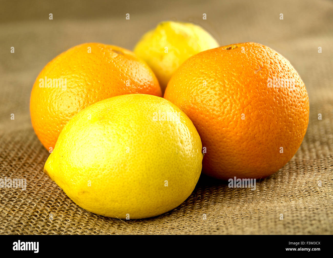 Arance e limoni, agrumi azienda agricola biologica Foto Stock