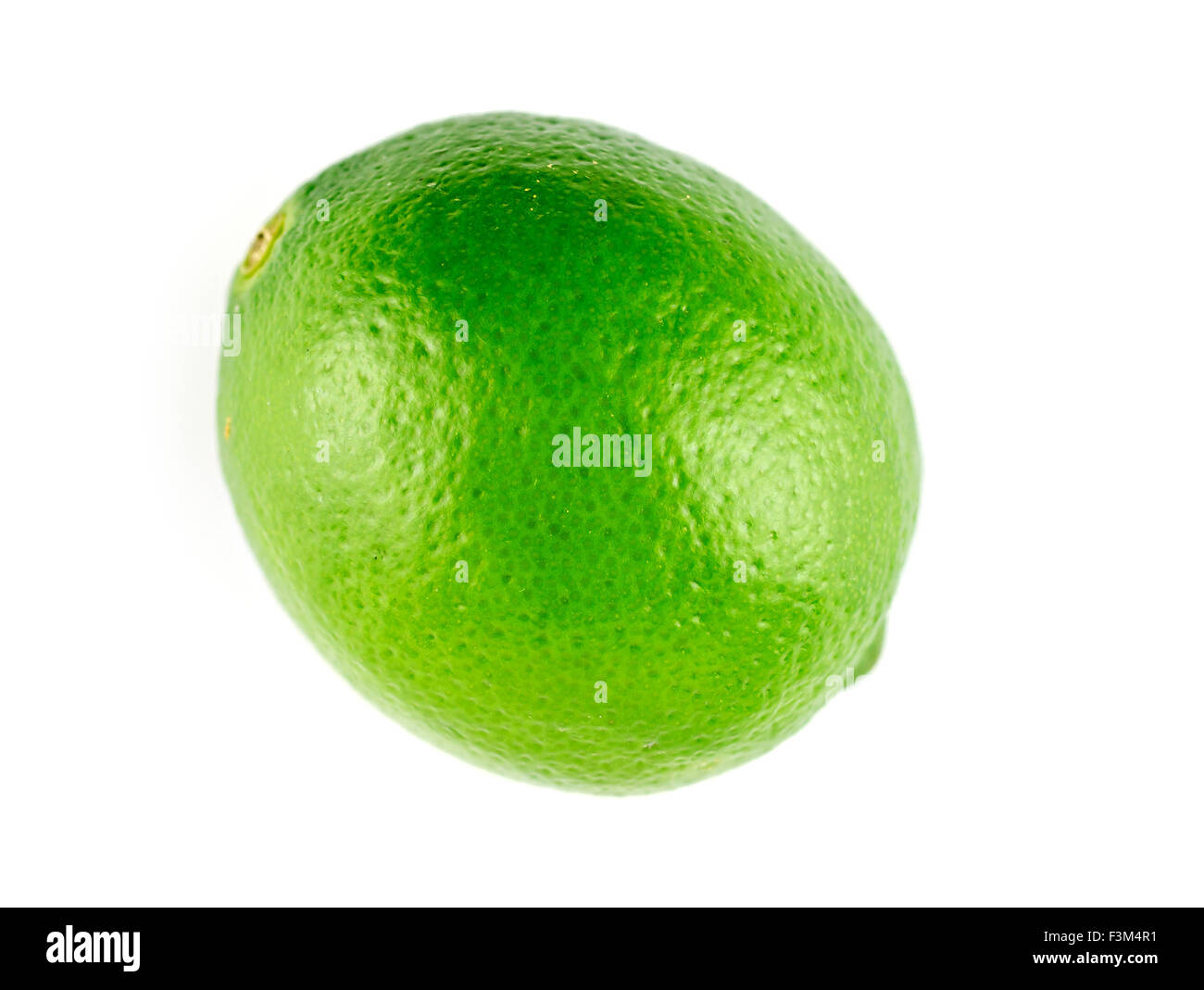 Antenna di Macro closeup di ripe verde lime Foto Stock