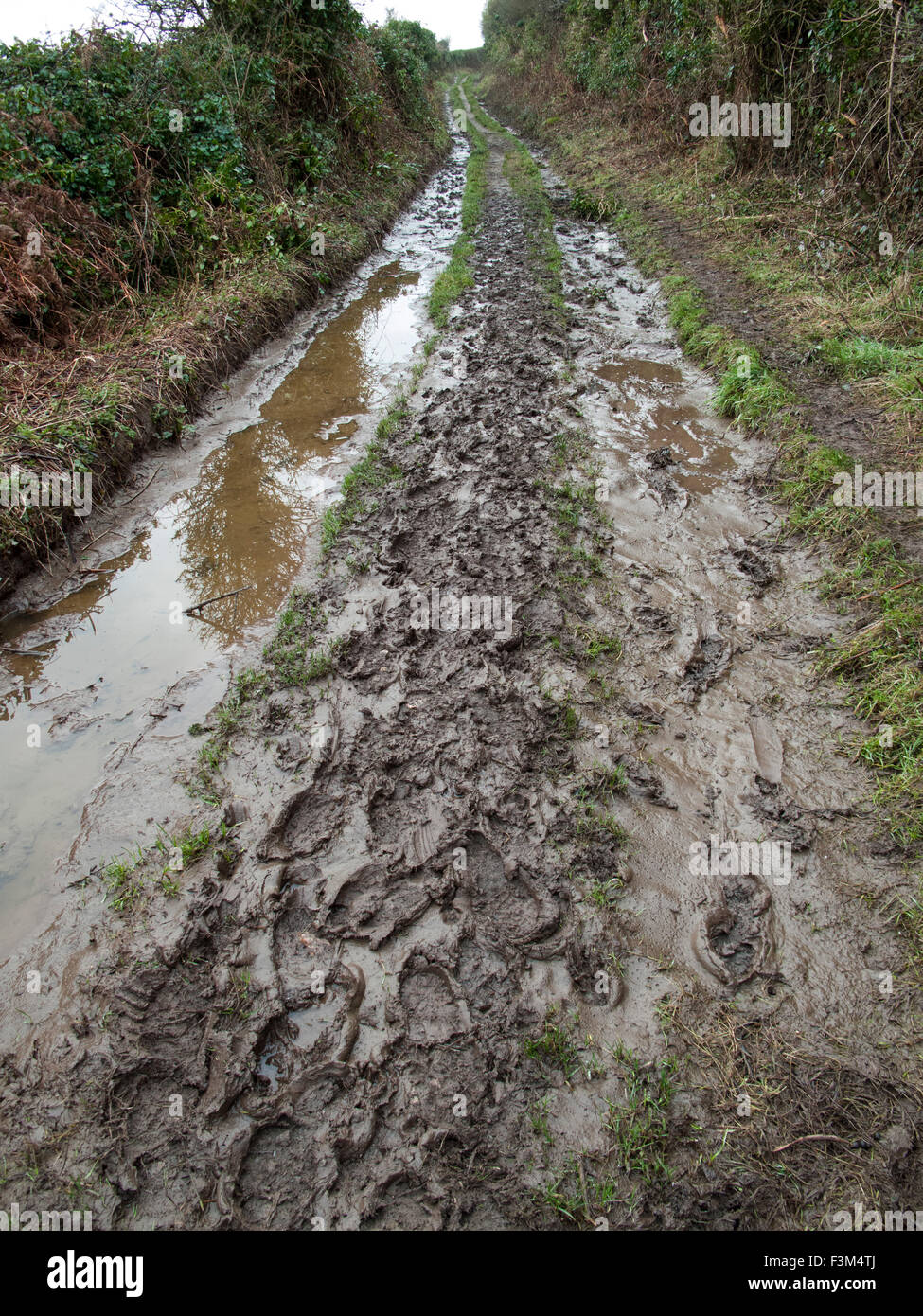 Paese fangoso lane in Devon in inverno Foto Stock