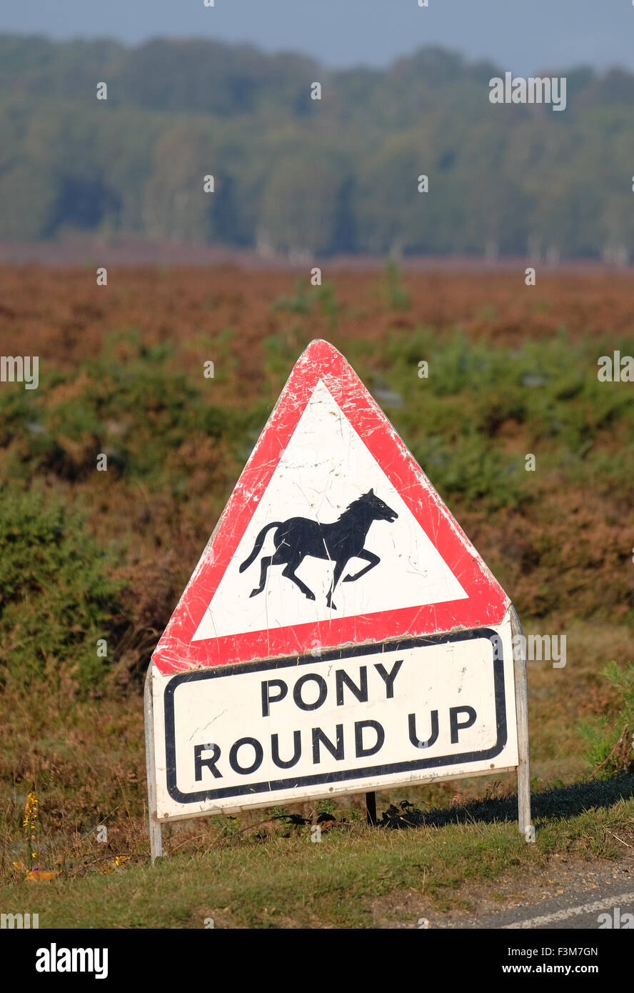 Pony round up attenzione cartello stradale nella nuova foresta Hampshire REGNO UNITO Foto Stock