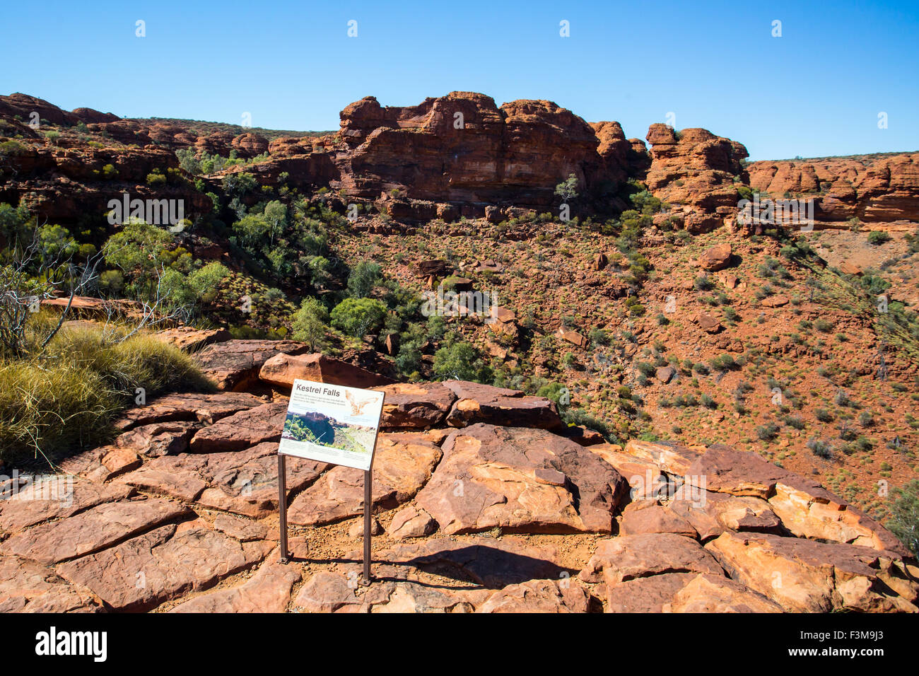 Vista valle al Kings Canyon nel Territorio del Nord, l'Australia Foto Stock