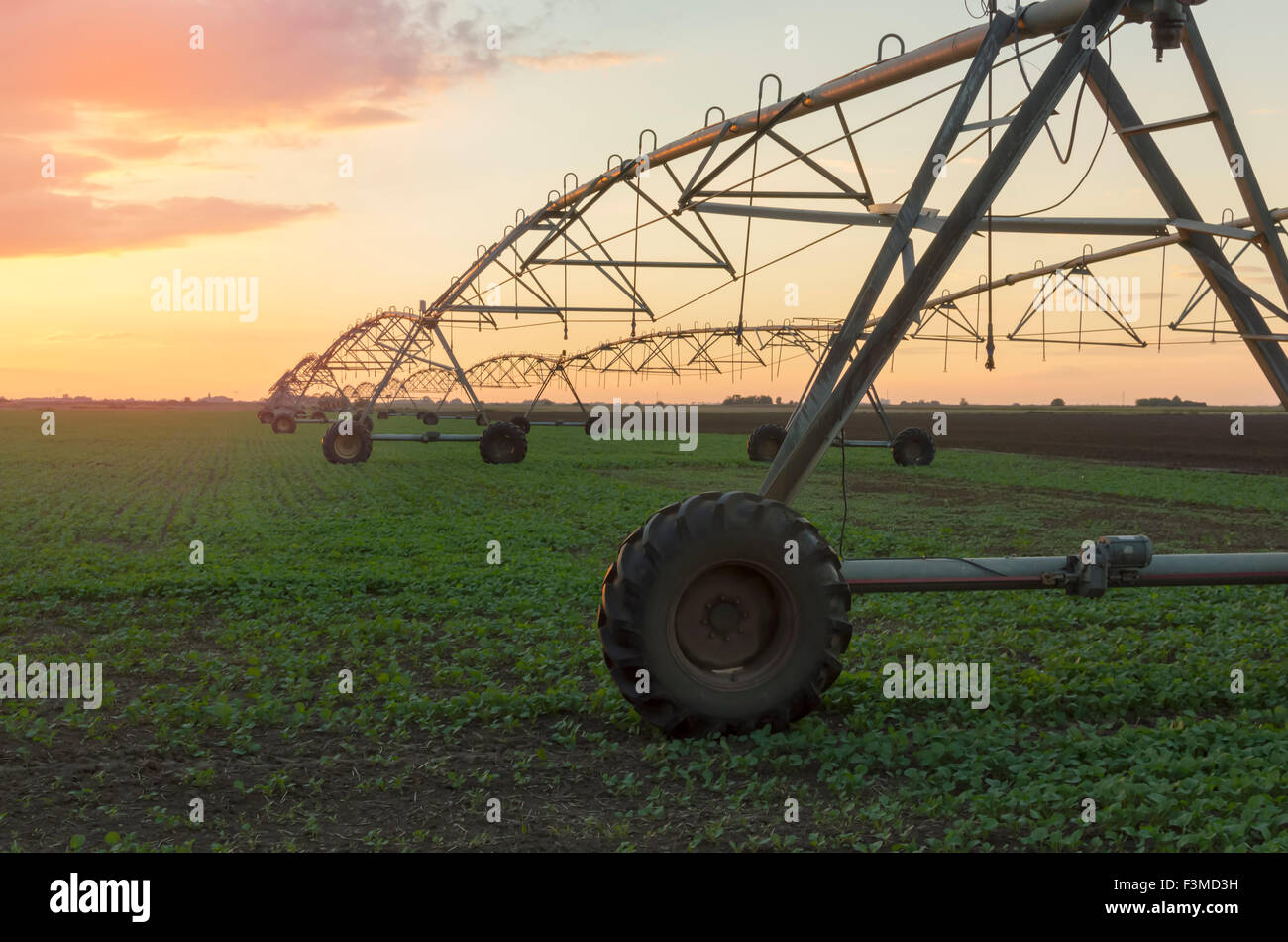 Moderno sistema di irrigazione su un campo di fattoria al tramonto. Messa a fuoco selettiva. Foto Stock