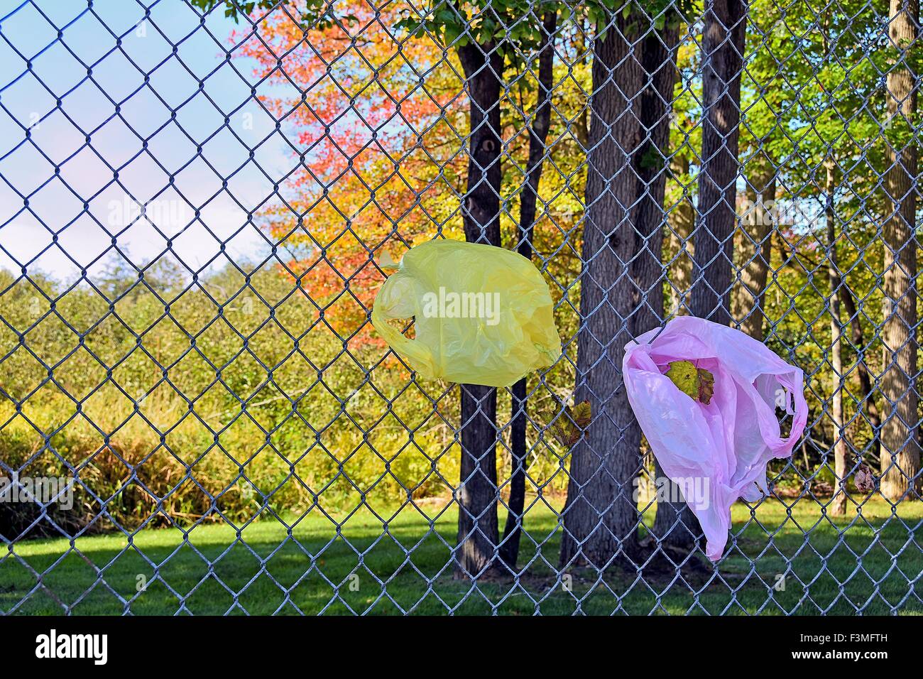 Rosa e giallo in plastica shopping bags catturati su una catena collegamento recinto. Foto Stock