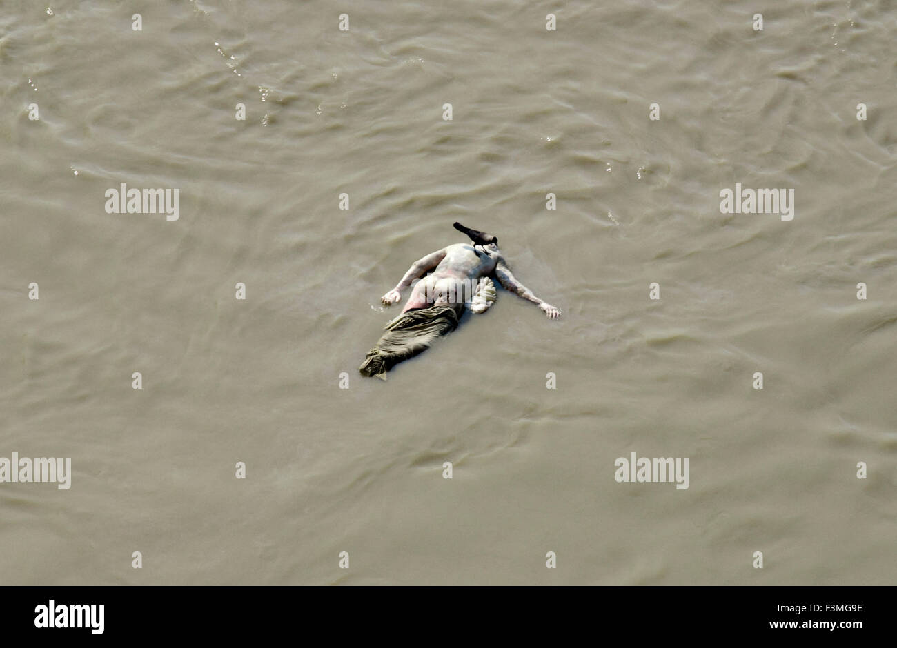 La morte flooting nel fiume Gange. Varanasi. Vista orizzontale di un'arancia avvolta corpse galleggiando giù il fiume Gange. Varanasi è meglio conosciuta per i suoi ghats - ci sono oltre cento del riverside strutture. Mentre la maggior parte dei ghats sono utilizzati per la balneazione sacra da pellegrini Indù, è pochi burning ghats - facilmente accessibile ai visitatori - che veramente afferrare le pupille. La masterizzazione ghats, come la felice Manikarnika Ghat sono dove i morti sono bruciati. Questa immagine è stata scattata con il permesso del Dom. Foto Stock