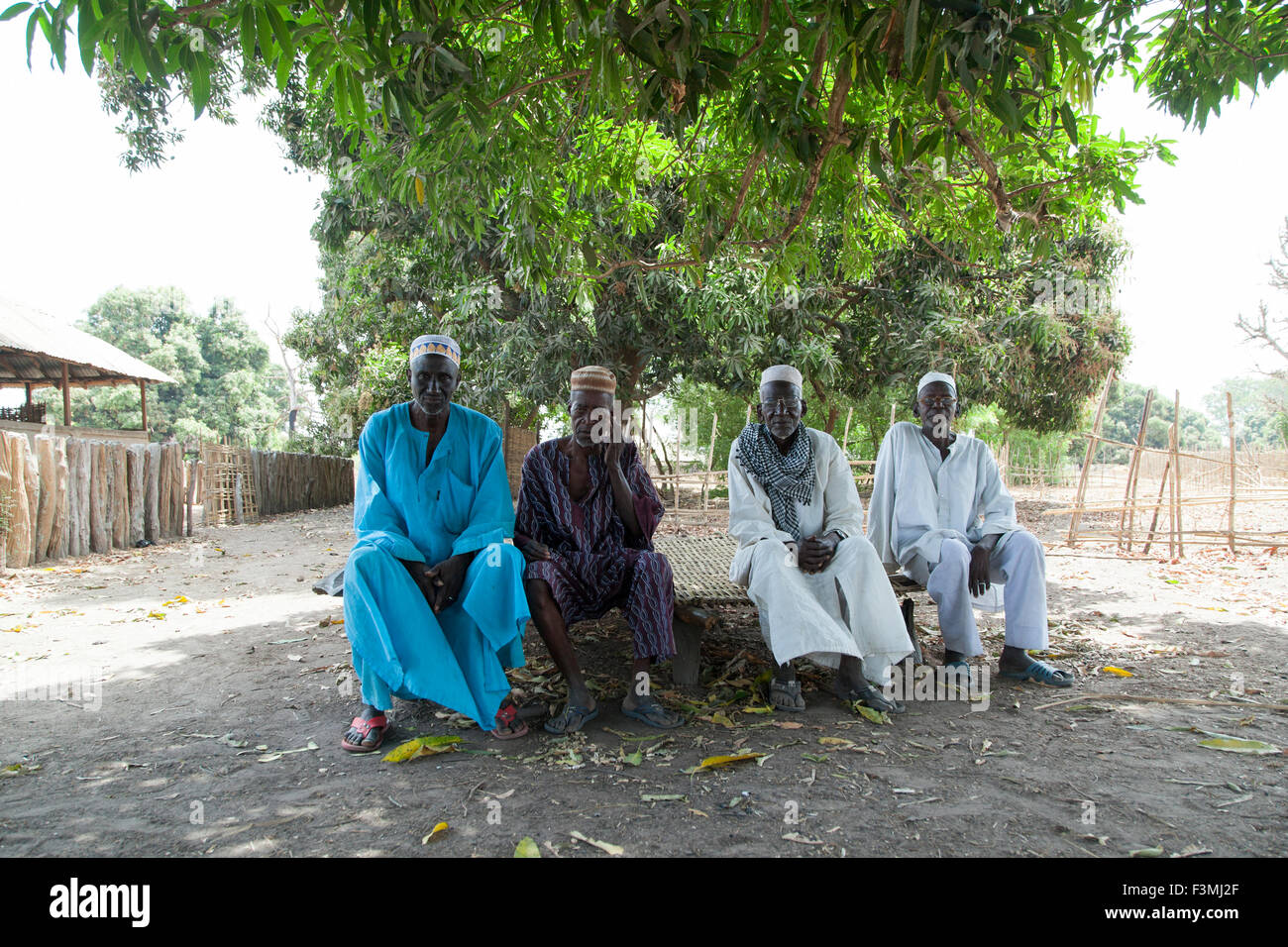 Villaggio africano chief e anziani riunione del consiglio sotto l'ombra di un albero in Guinea Bissau rurale Foto Stock