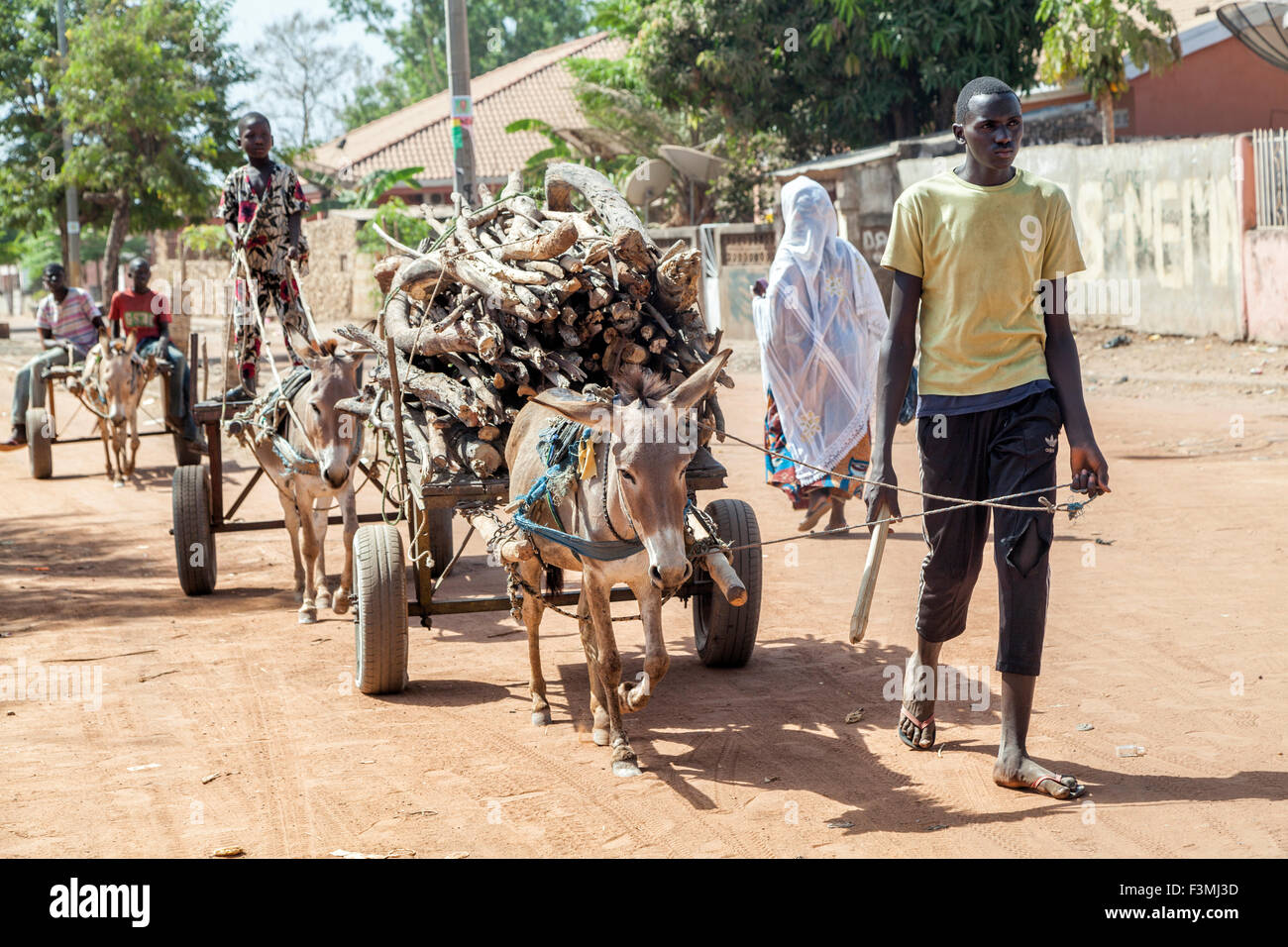 I giovani africani gli uomini che trasportano legna da ardere in asino carrelli Foto Stock