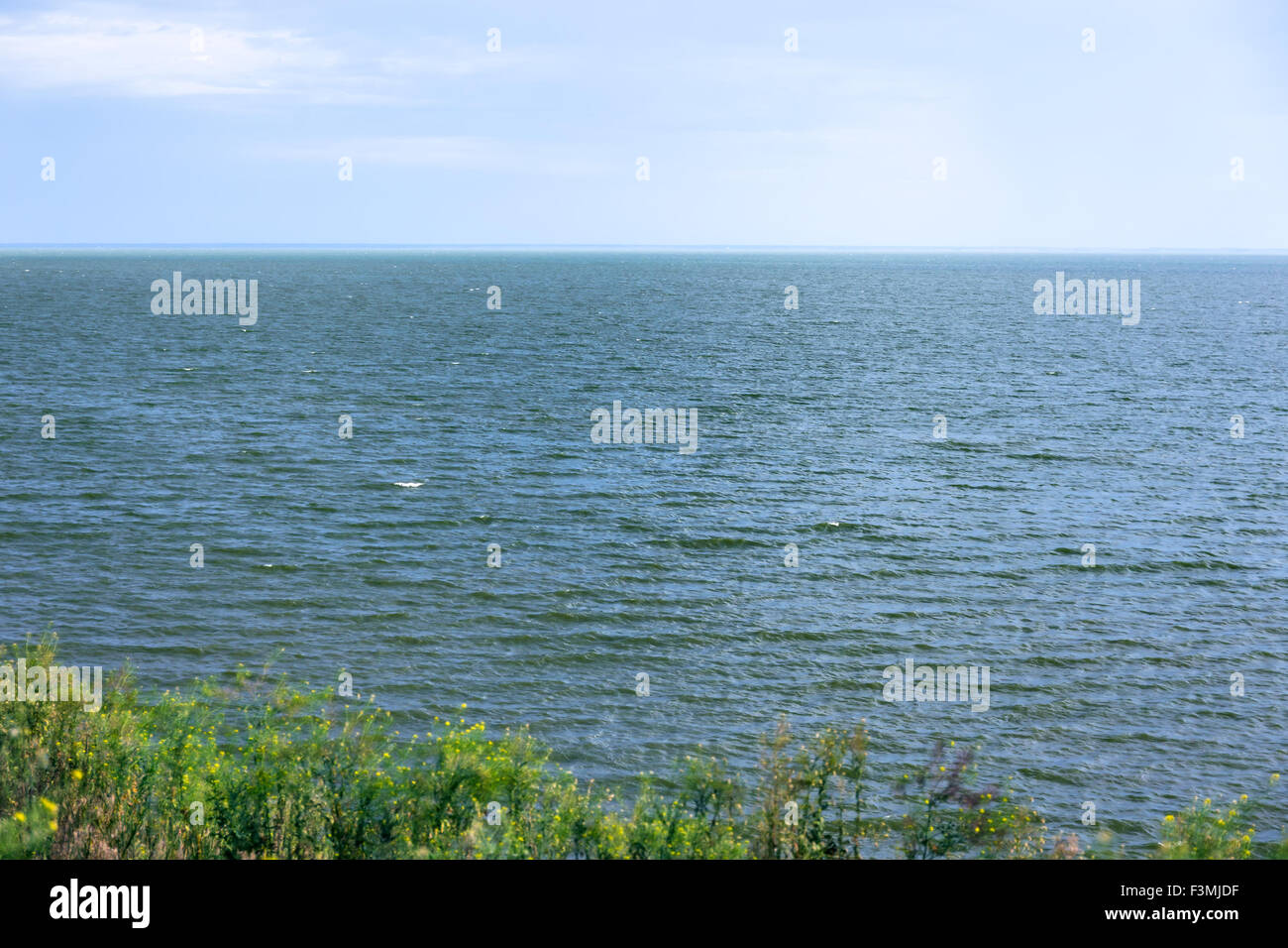 Il mare e l'erba sulla riva Foto Stock