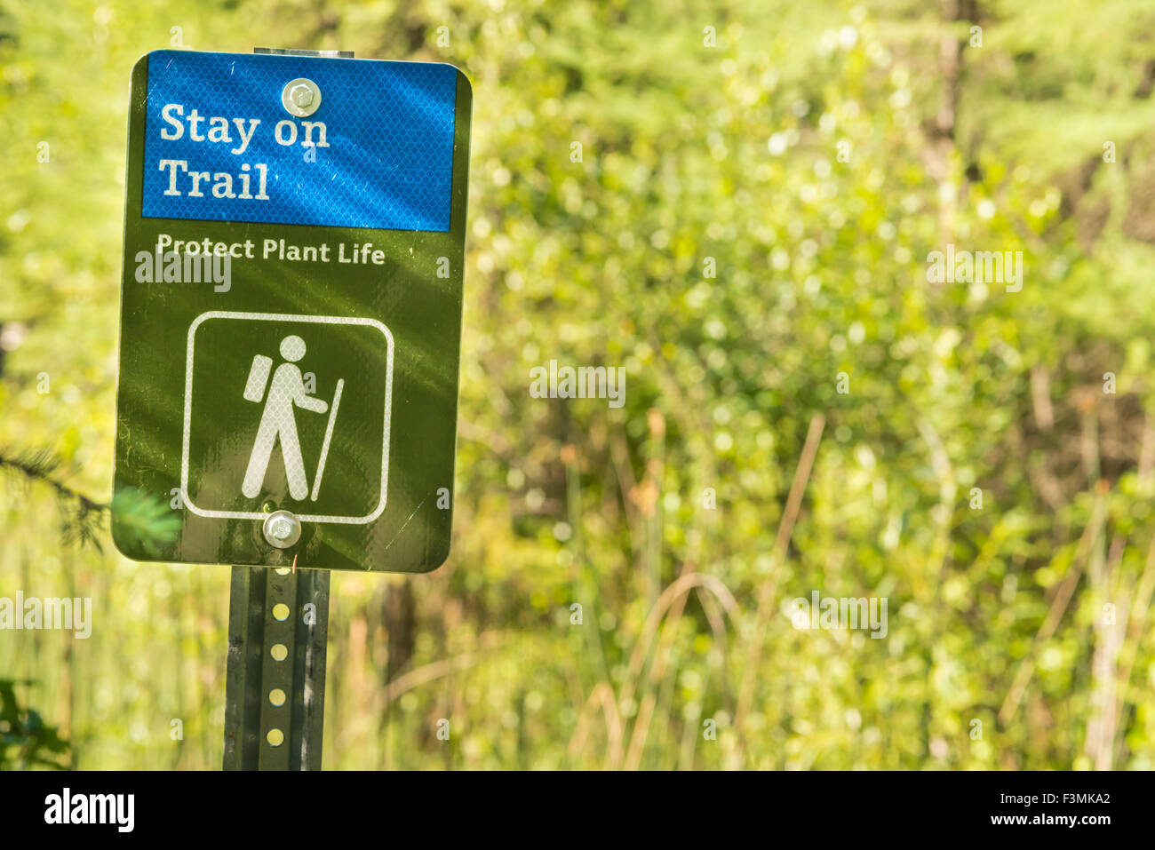 Segnavia in Wagner Bog Area Naturale di consigliare gli escursionisti per rimanere sul sentiero per proteggere il fragile vita vegetale Foto Stock