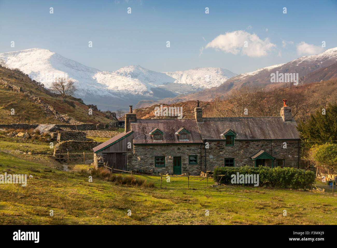 Agriturismo in Snowdonia con Moel Hebog mountain in background in neve in inverno vicino Beddgelert Gwynedd North Wales UK Foto Stock