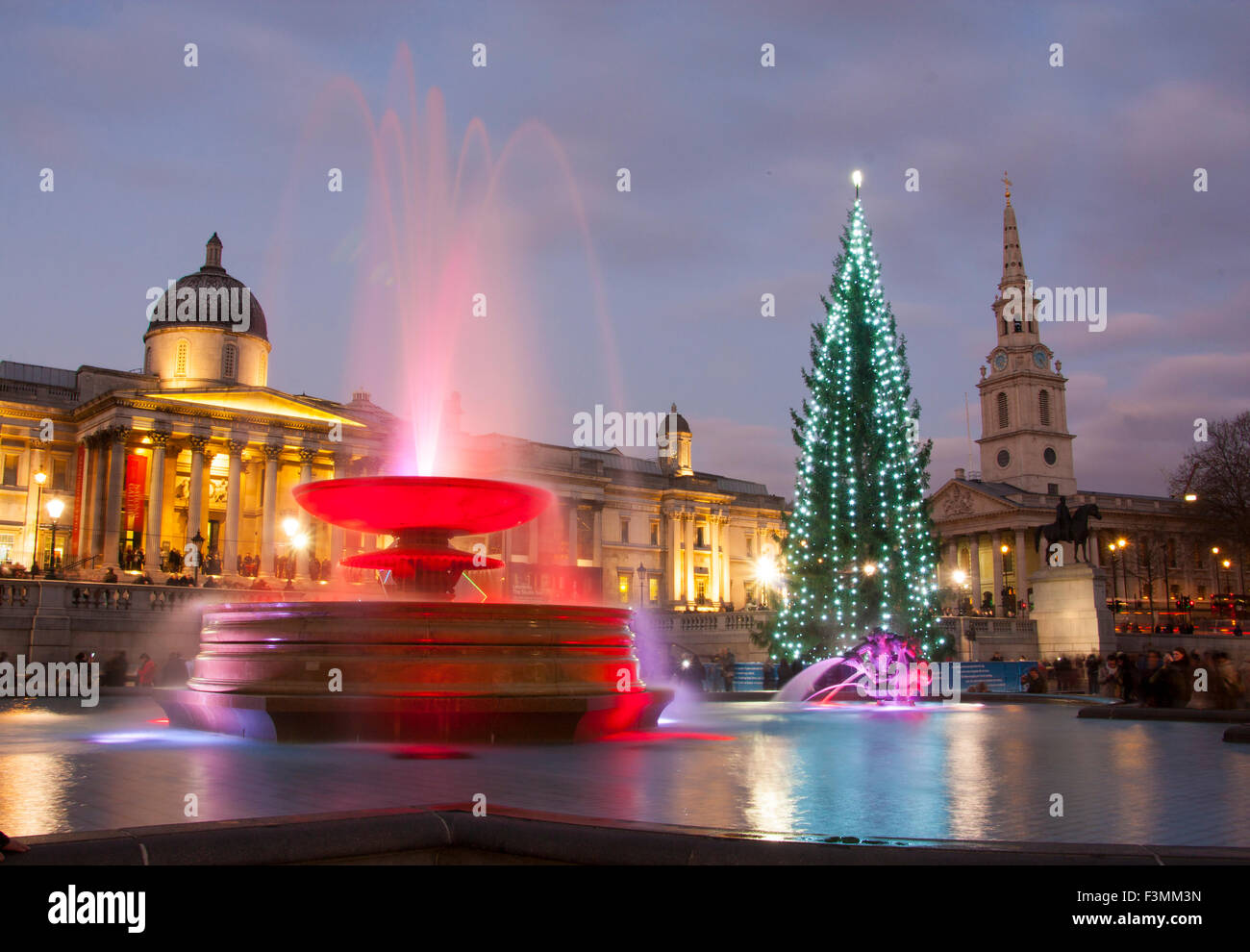 Trafalgar square di notte tempo di Natale con albero di Natale, National Gallery, fontana e St Martin nei campi chiesa Lond Foto Stock