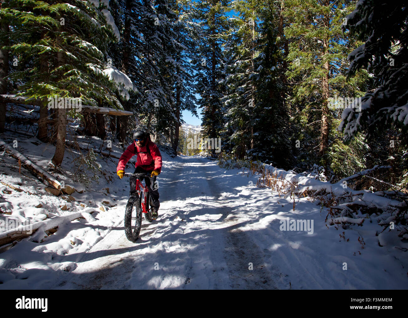 Fat Tire Bike Foto Stock