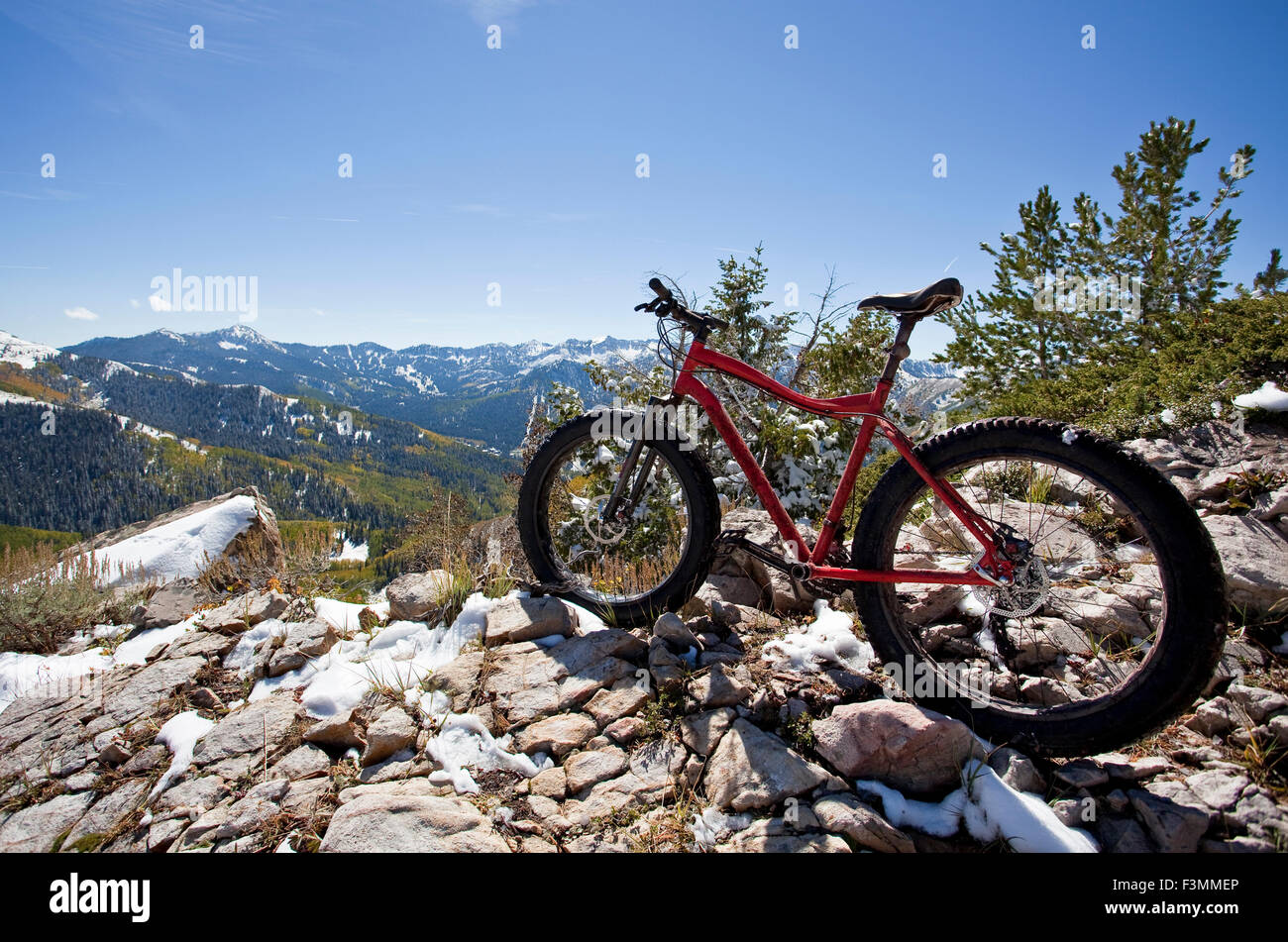 Fat Tire Bike Foto Stock