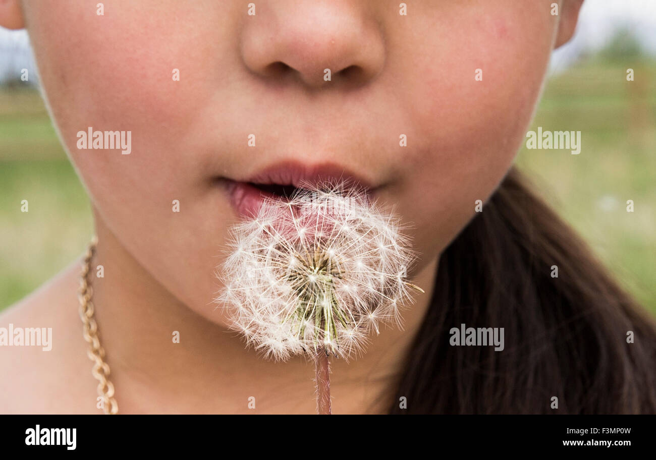 Giovane ragazza fa un desiderio e soffia su un dente di leone Foto Stock