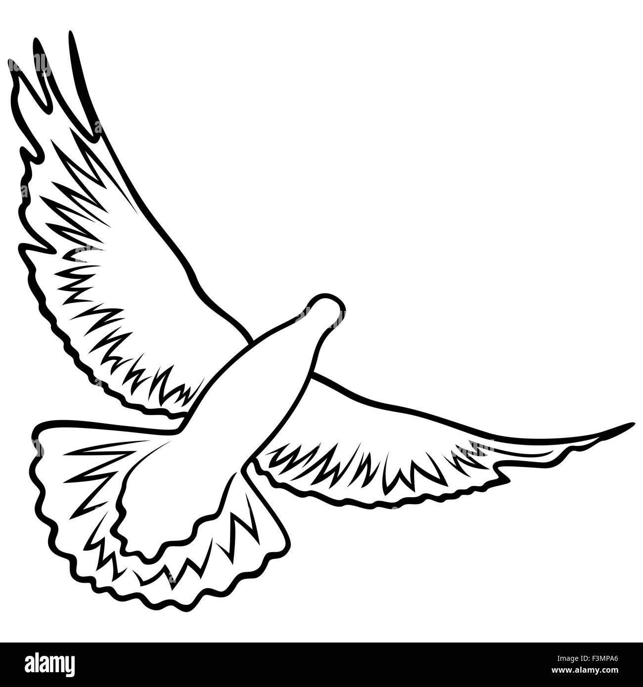 Colomba in volo con ampiamente ali teso, profilo illustrazione vettoriale Illustrazione Vettoriale