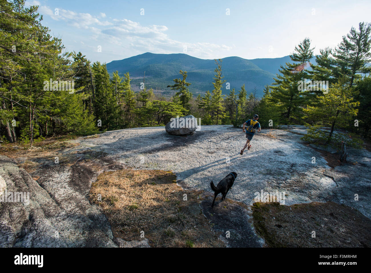 Un pomeriggio trail run con il migliore amico dell'uomo. Foto Stock