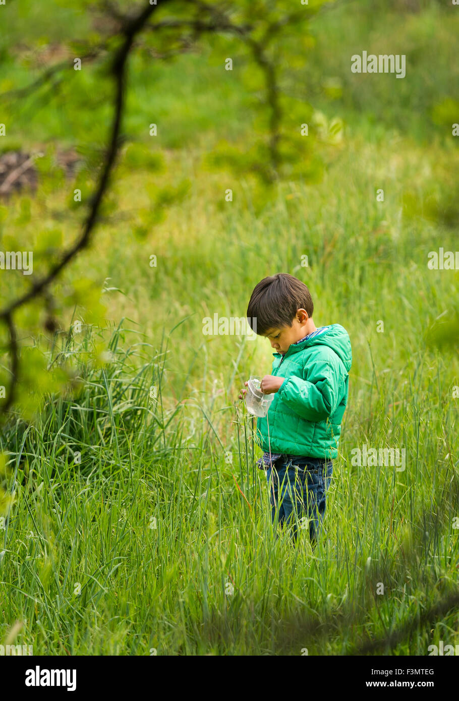 Giovane ragazzo asiatico raccoglie insetti in erba alta Foto Stock