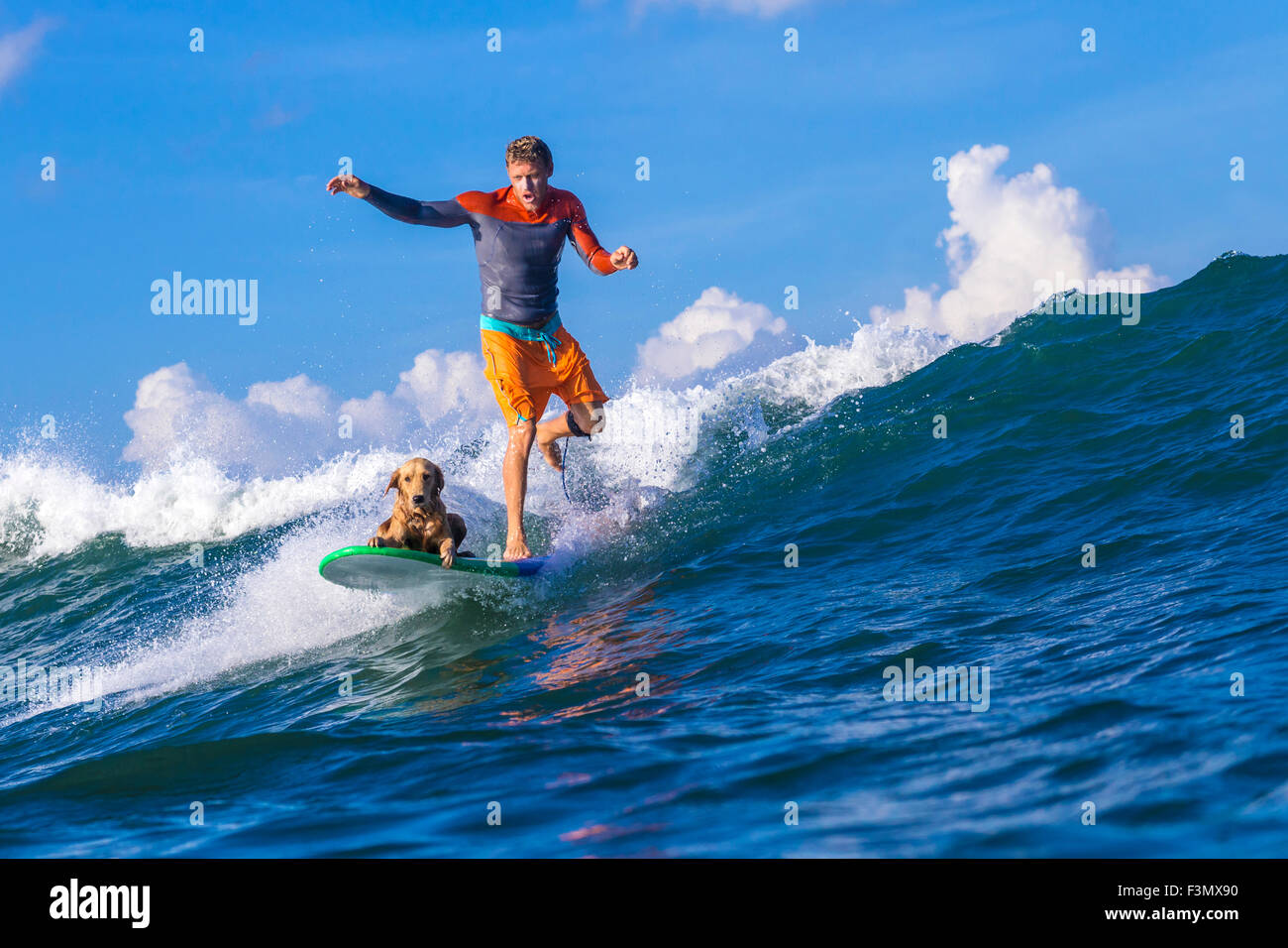 Surfer con un cane sulla tavola da surf. Foto Stock