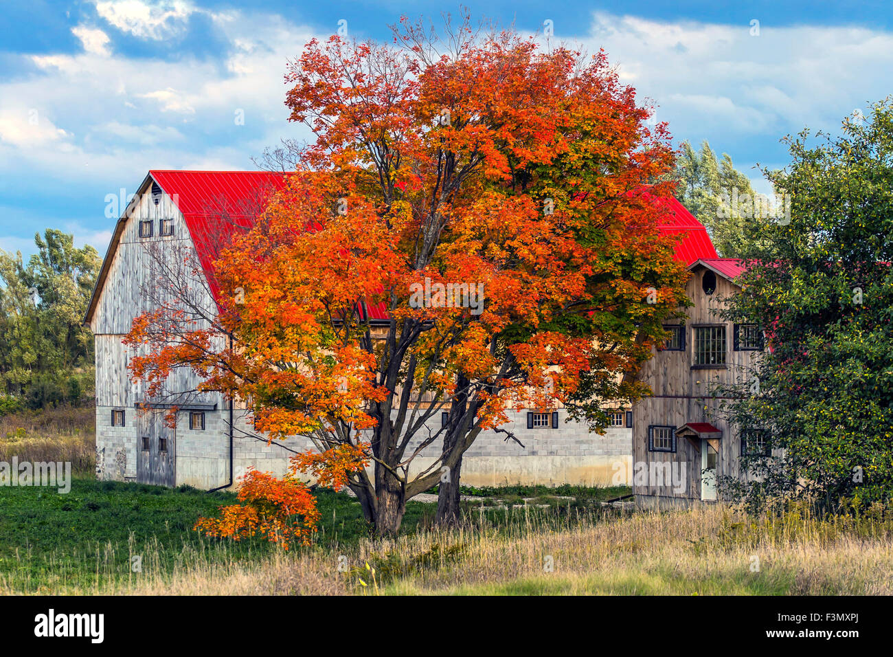 Fienile Rustico nel paese a pieno colore di autunno. Foto Stock