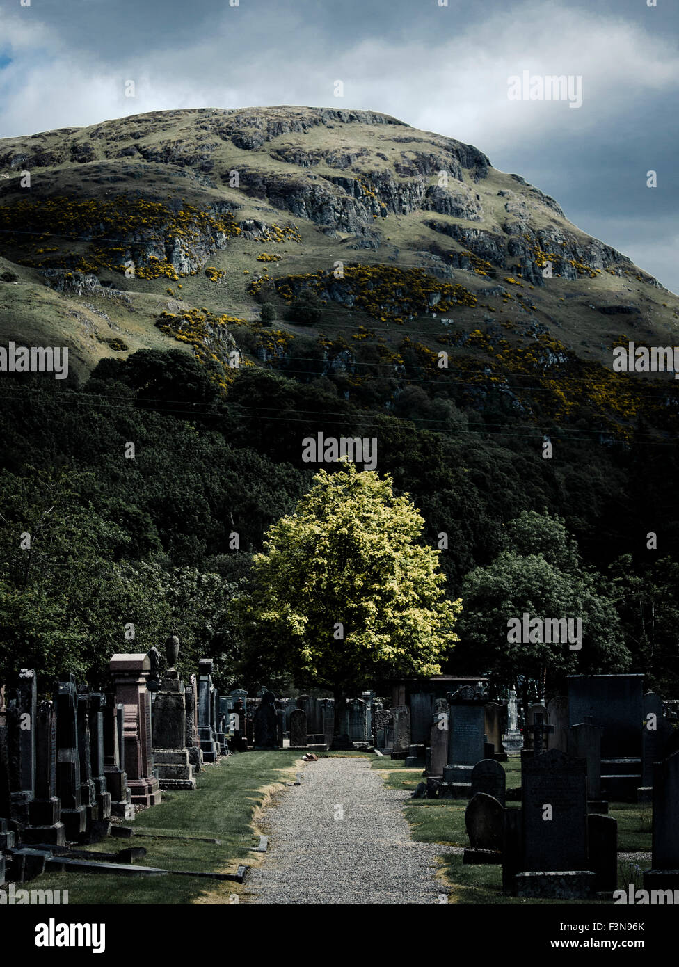 Una struttura ad albero Logie Kirk cimitero a Stirling, Scozia Foto Stock