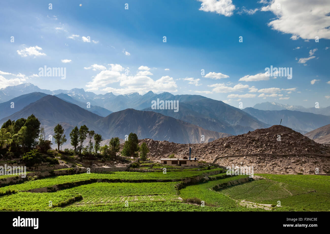 Campo agricolo Spiti Valley, Himachal Pradesh, India Foto Stock