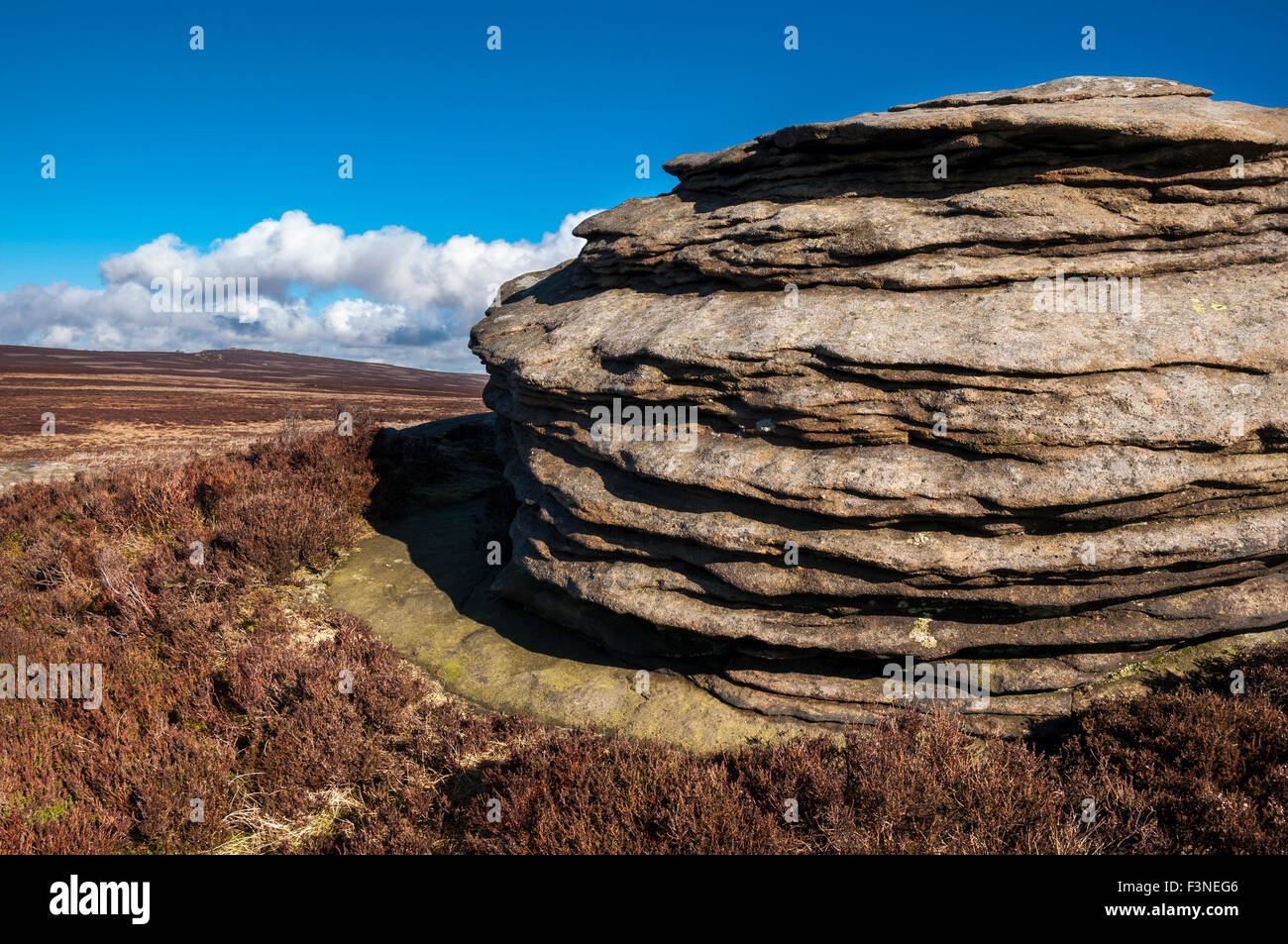 Gritstone affioramento con strati di roccia su un paesaggio di brughiera a bordo Derwent nel Peak District, Derbyshire, in Inghilterra. Foto Stock