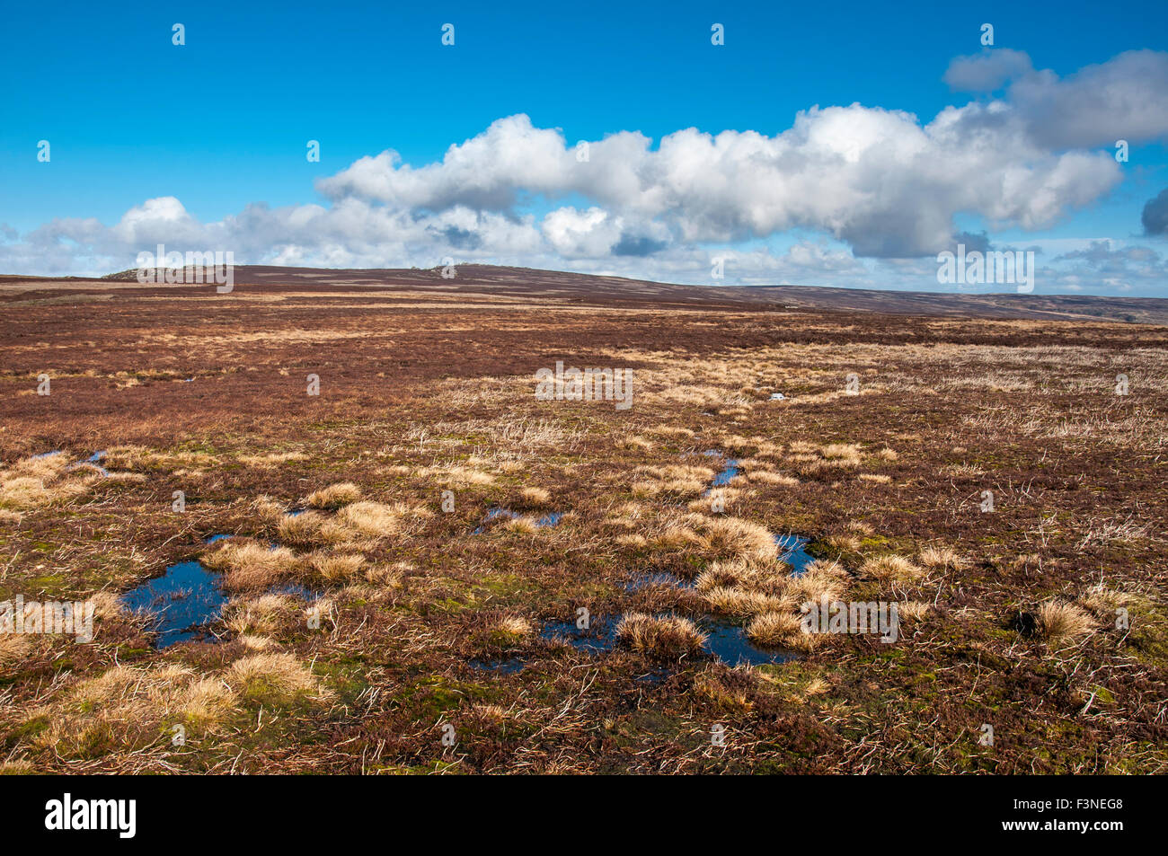 Una vasta distesa aperta della brughiera con piccole pozze di acqua che riflette il blu del cielo. Derwent edge, Derbyshire, in Inghilterra. Foto Stock