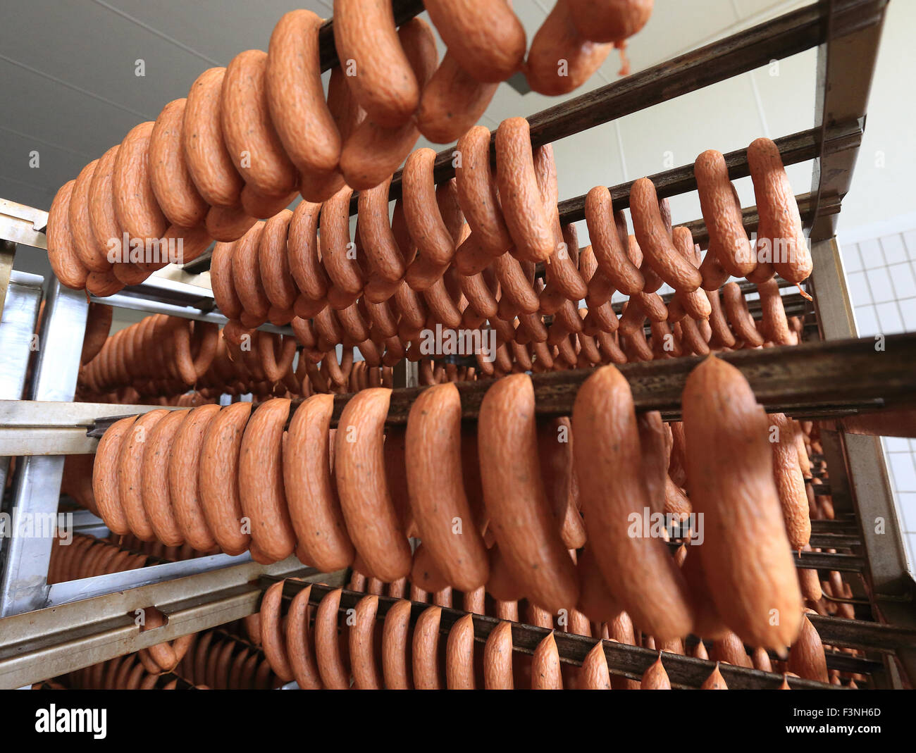 Salsicce in budello naturale è fumato dopo indurimento a la salsiccia e conserve alimentari produttore Würstchen Halberstaedter- und Konservenfabrik GmbH a Halberstadt, Germania, 08 ottobre 2015. La società ha presentato la più recente aggiunta alla propria gamma di prodotti tra cui piatti vegetariani salse, zuppe e si diffonde in anticipo del mondo la più grande fiera alimentare Anuga, che si terrà dal 10 al 14 ottobre 2015 a Colonia, in Germania. Foto: Jens WOLF/dpa Foto Stock