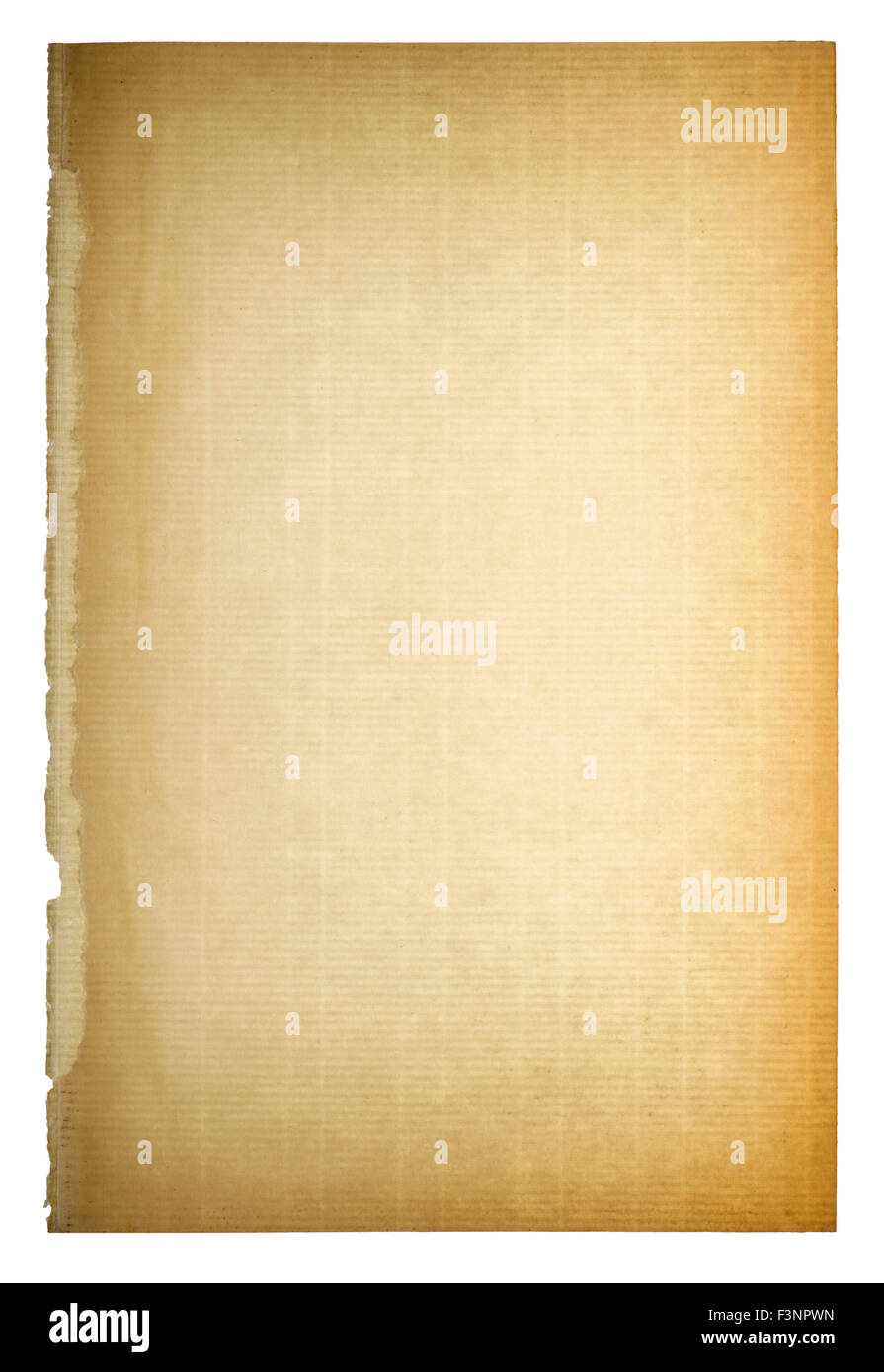 Utilizzate la pagina di carta texture. Vintage sfondo di cartone con vignette Foto Stock