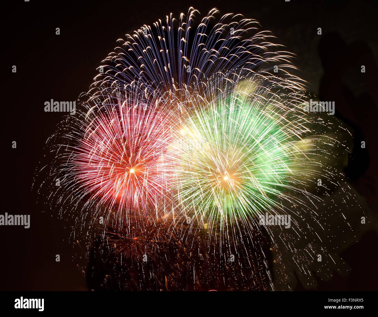 Coloratissimi fuochi d'artificio isolato nel cielo scuro dello sfondo. Festival dei fuochi d'artificio. 4 luglio, giorno dell'indipendenza. Foto Stock