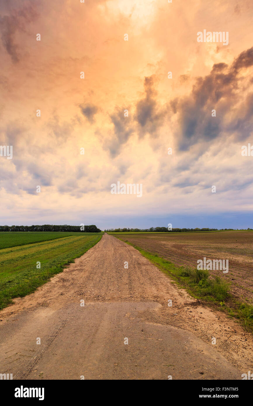 Strada sporca di drammatica sky summer in Ungheria Foto Stock