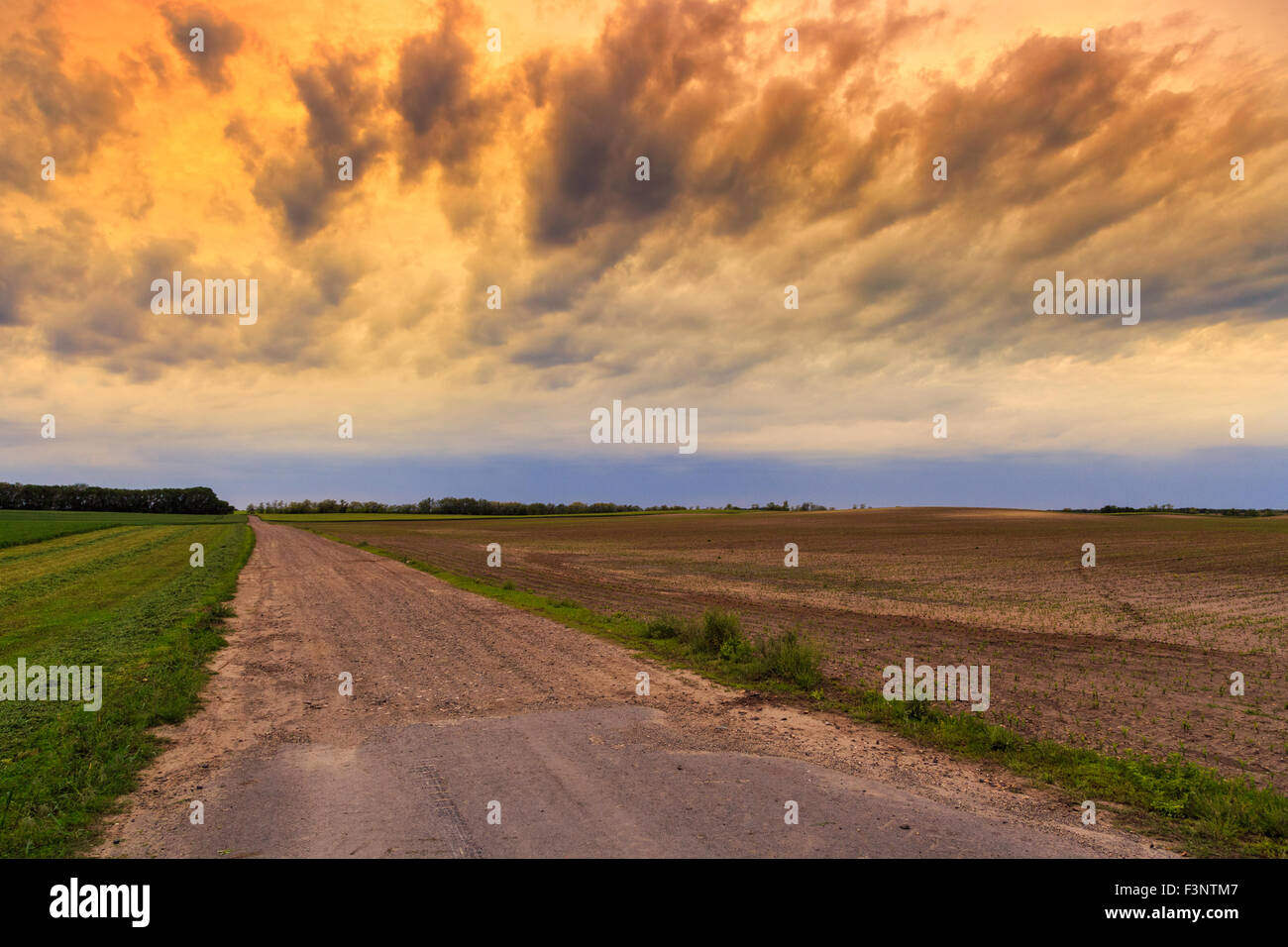 Strada sporca di drammatica sky summer in Ungheria Foto Stock
