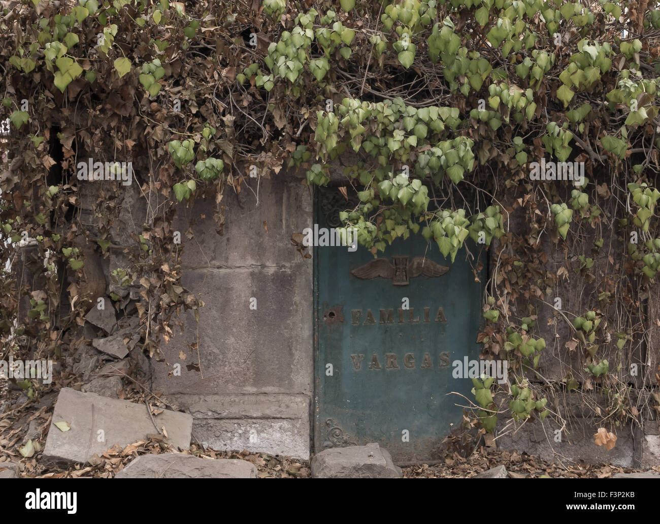 La Tomba Infestata da Erbacce, cimitero nazionale, Santiago del Cile Foto Stock