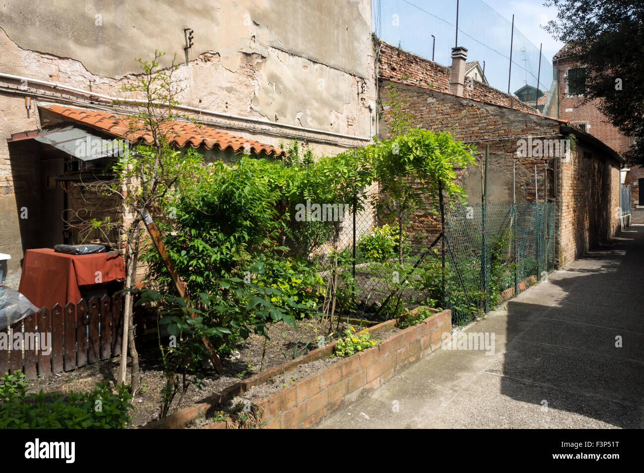 VENEZIA, ITALIA - 05 MAGGIO 2015: Piccolo giardino nella strada posteriore di Venezia Foto Stock