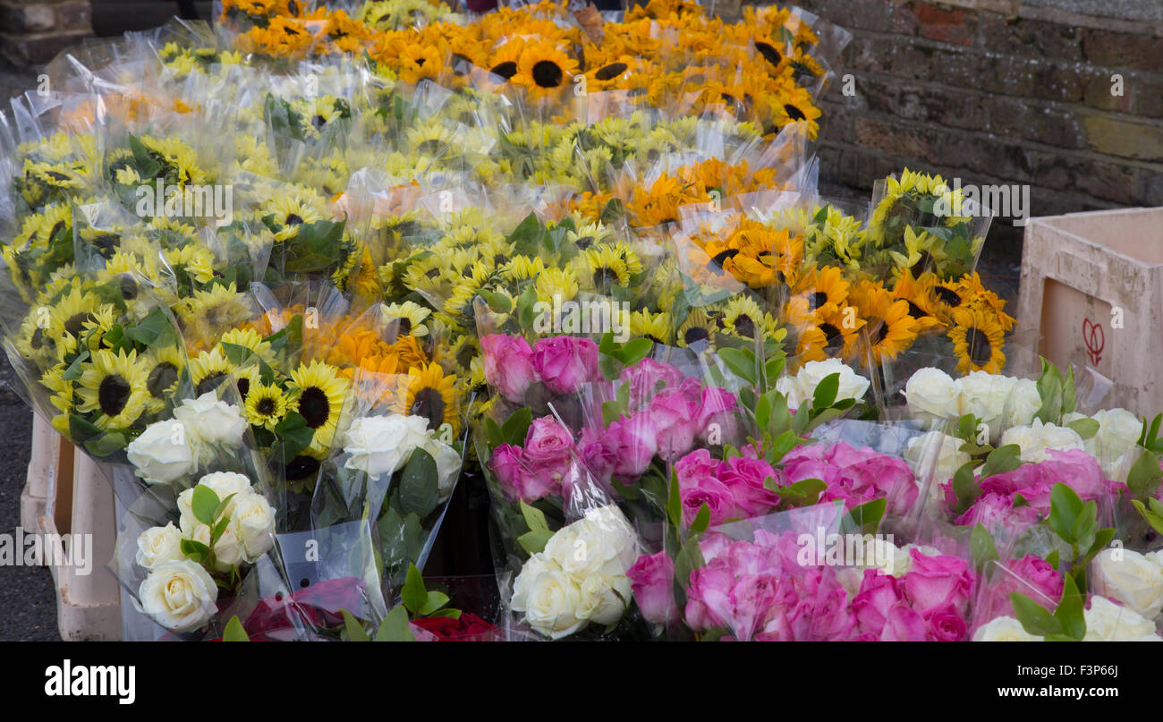 Colorate di stallo del mercato dei fiori Foto Stock
