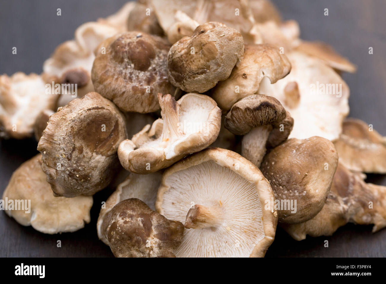 Lentinula edodes. Funghi Shiitake su una tavola di legno. Foto Stock