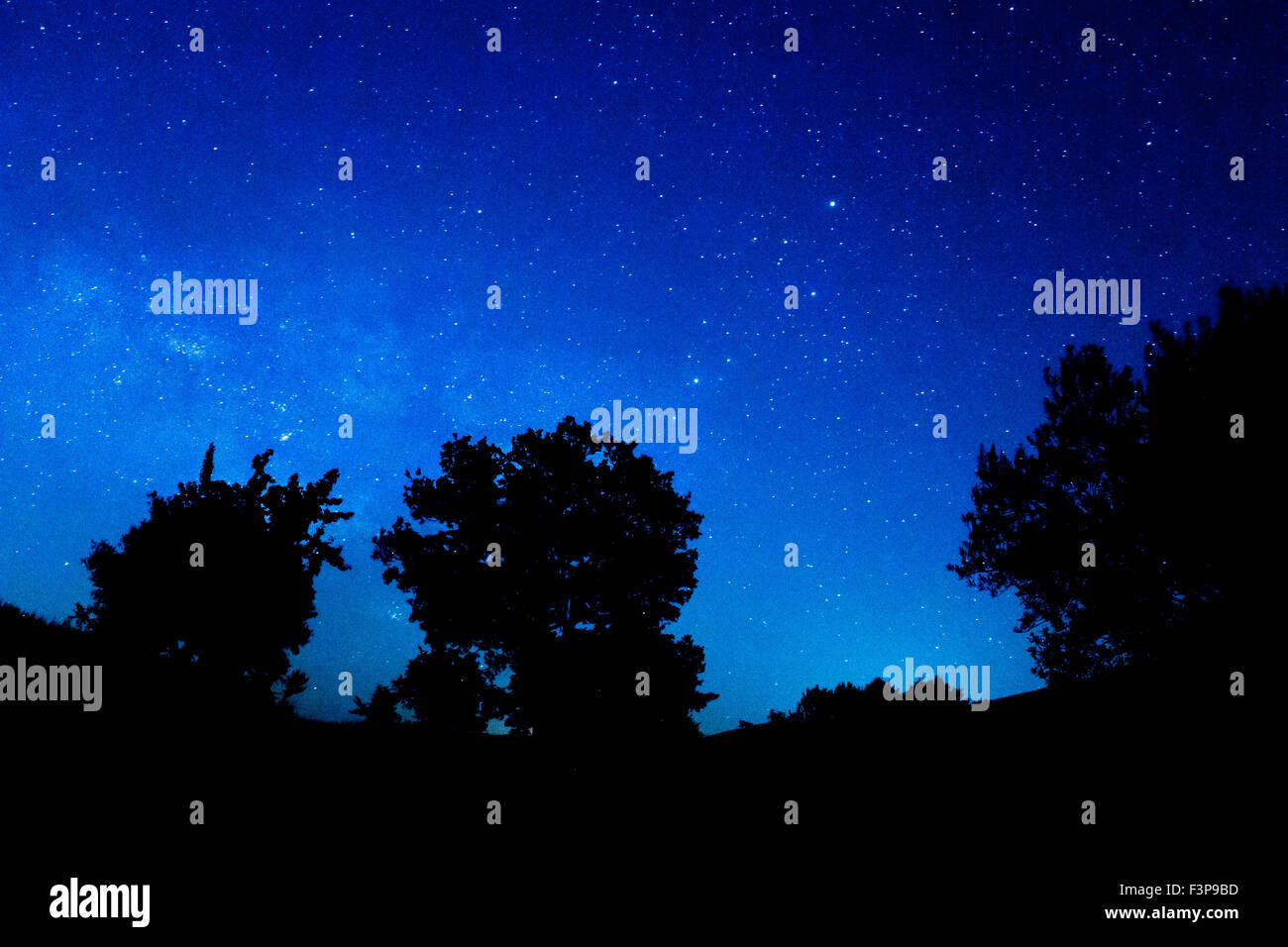 Paesaggio notturno, stelle via lattea Foto Stock