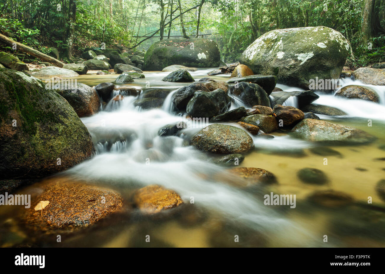 I flussi di Sungai Tua, Selayang, Malaysia. Foto Stock
