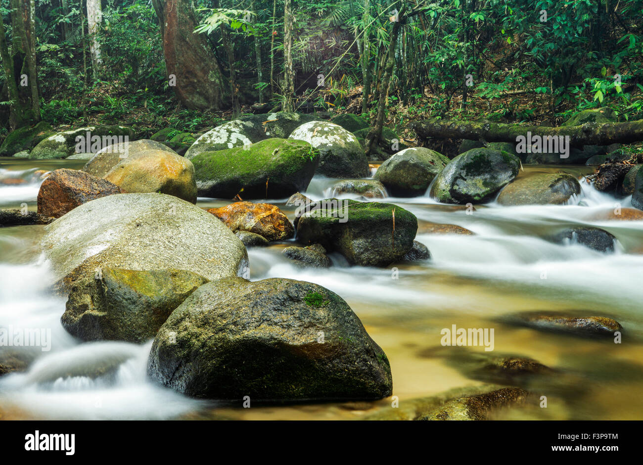 I flussi di Sungai Tua, Selayang, Malaysia. Foto Stock